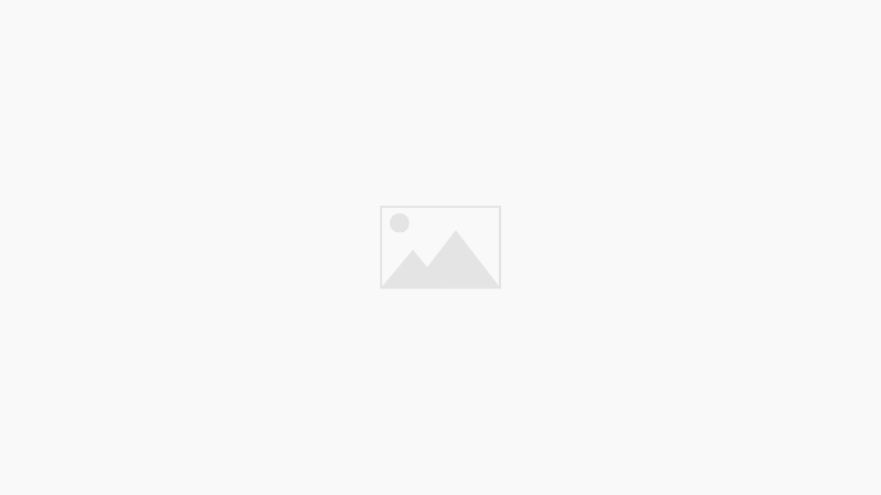 Memorable trip to the Carpets Fiesta, Elche de en Sarria – June 2025