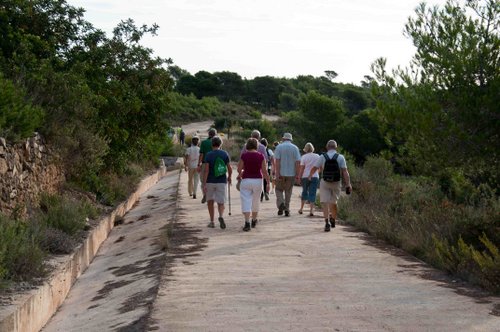 17-Healthy walking 2013 - 14