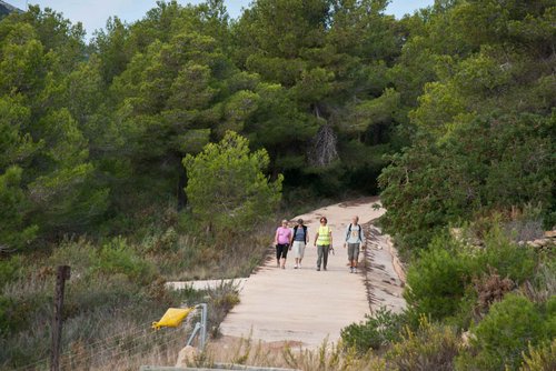 18-Healthy walking 2013 - 15