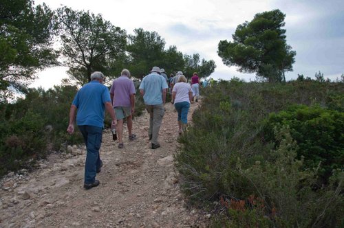 19-Healthy walking 2013 - 16