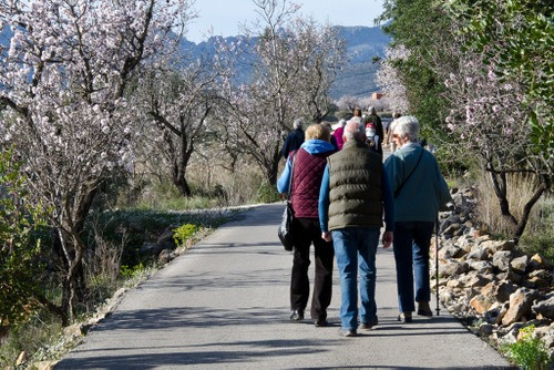 24-Healthy walking 2013 - 20