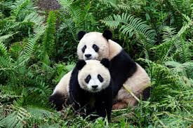 China 7th-23rd May 2026