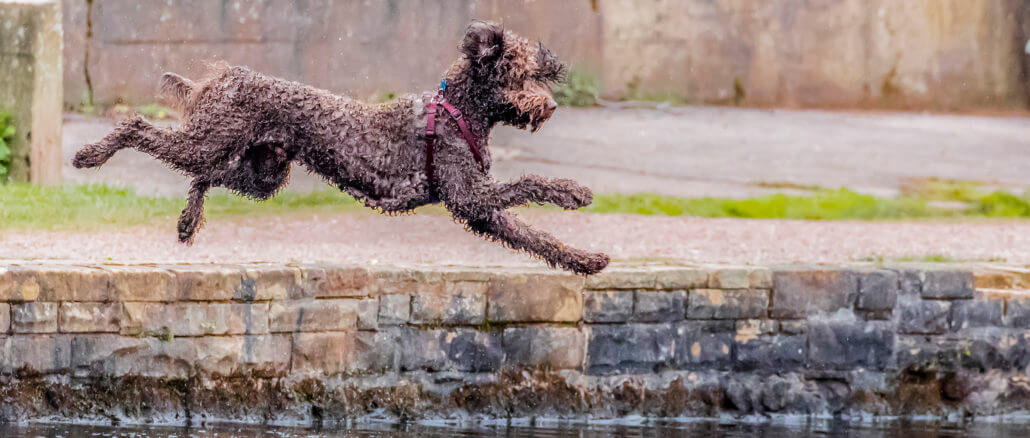 Splash!