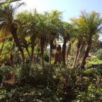 Permalink to: Gardening Group Meeting 10th Nov 2015