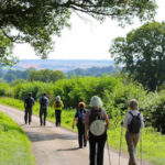 Permalink to: Gentle Walking/Strollers Group