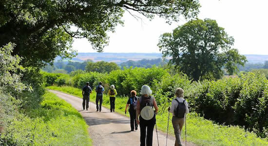 Gentle Walking/Strollers Group