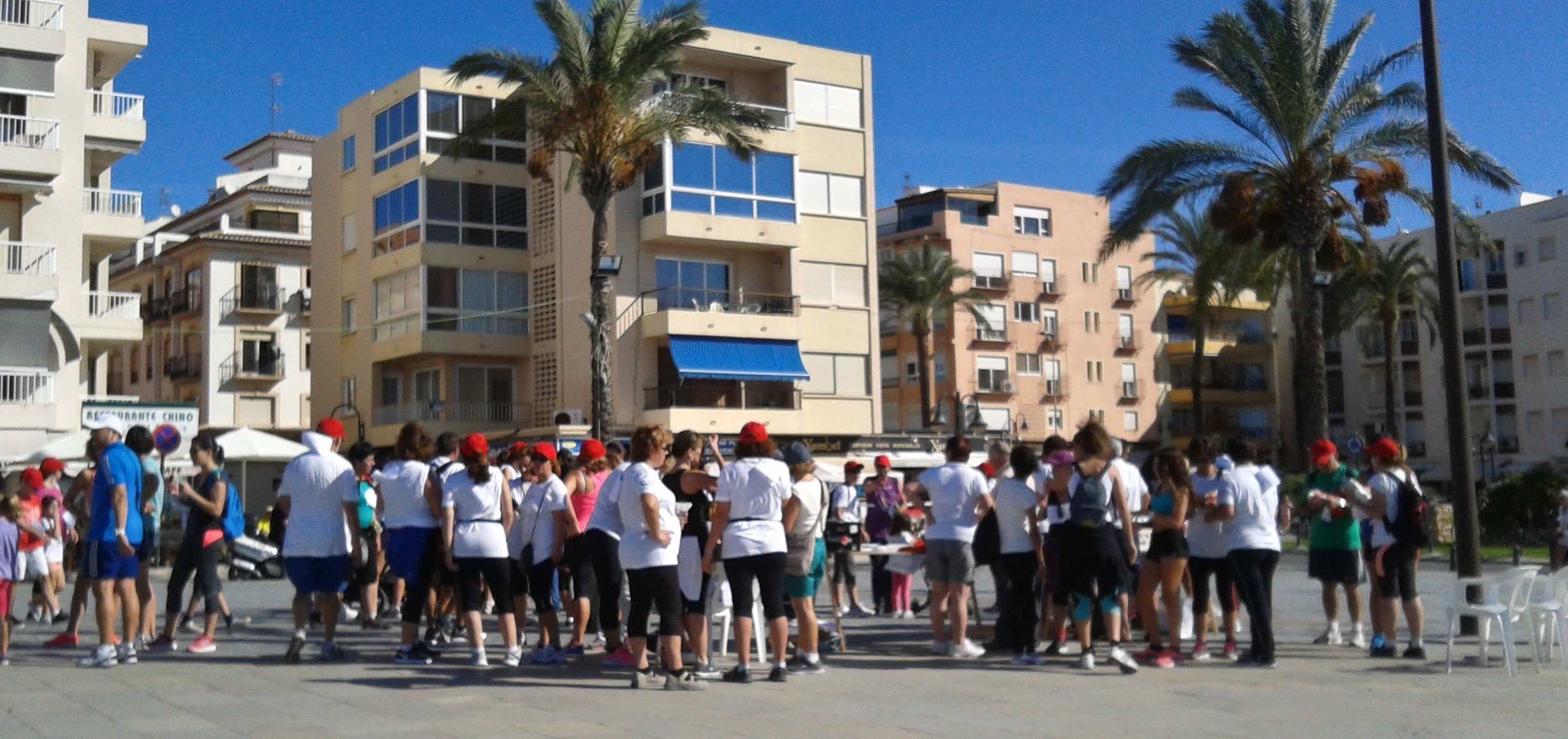 Healthy Walkers at Sep 20th World Alzheimer Day Sponsored Walk