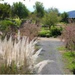 Permalink to: Gardening group outing 5th April - CANCELLED