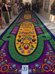 Memorable trip to the Carpets Fiesta, Elche de en Sarria – June 2025