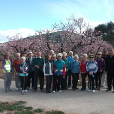 Healthy Walking Group report, February 2016