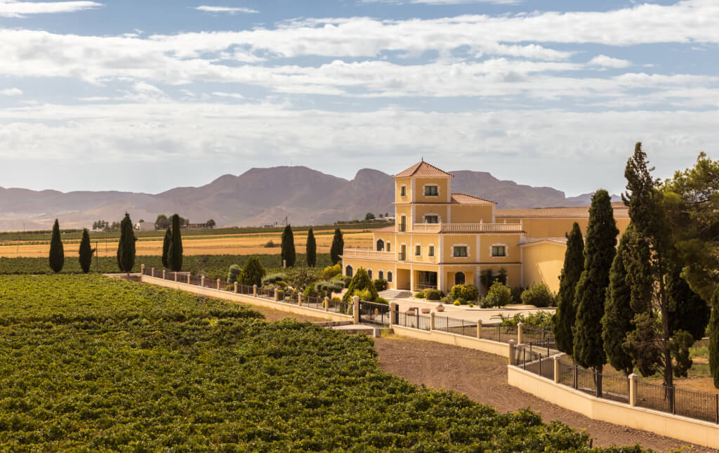 Wine Group visit Bodegas Bleda – June 2024